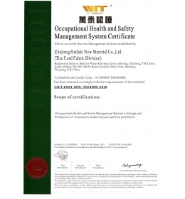 帘子布事业部系统认证